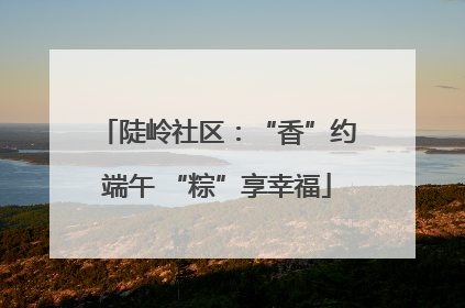 陡岭社区：“香”约端午 “粽”享幸福