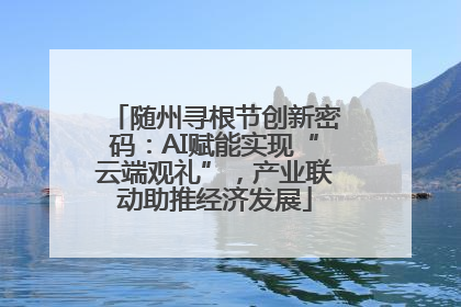 随州寻根节创新密码：AI赋能实现“云端观礼”，产业联动助推经济发展