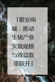 雅安雨城：推动生猪产业实现规模与效益双重跃升