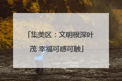 集美区：文明根深叶茂 幸福可感可触