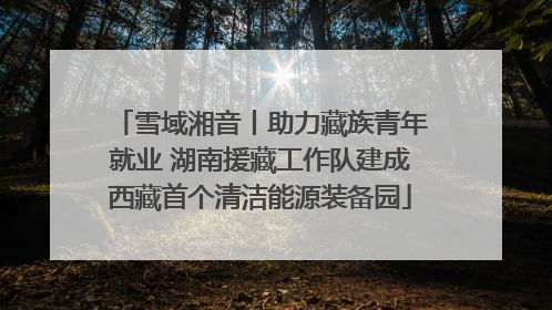 雪域湘音丨助力藏族青年就业 湖南援藏工作队建成西藏首个清洁能源装备园