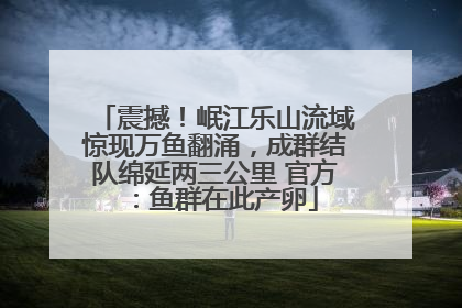 震撼！岷江乐山流域惊现万鱼翻涌，成群结队绵延两三公里 官方：鱼群在此产卵