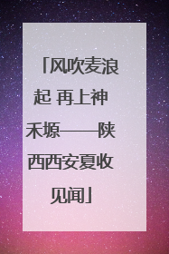 风吹麦浪起 再上神禾塬——陕西西安夏收见闻