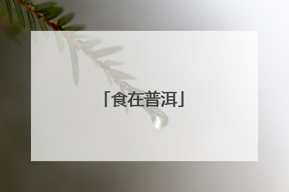 食在普洱