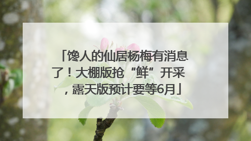 馋人的仙居杨梅有消息了！大棚版抢“鲜”开采，露天版预计要等6月