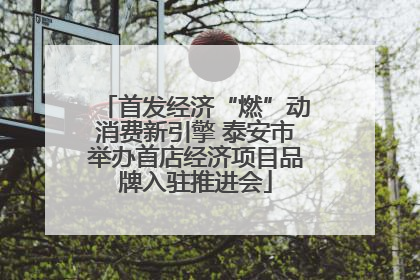 首发经济“燃”动消费新引擎 泰安市举办首店经济项目品牌入驻推进会