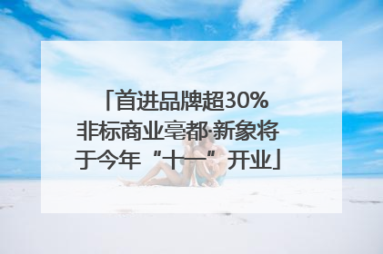 首进品牌超30% 非标商业亳都·新象将于今年“十一”开业