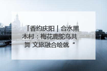 香约庆阳｜合水黑木村：梅花鹿鸵鸟共舞 文旅融合绘就“诗与远方”
