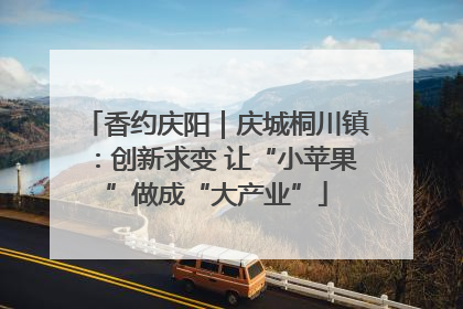 香约庆阳｜庆城桐川镇：创新求变 让“小苹果”做成“大产业”