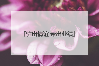 驻出情谊 帮出业绩