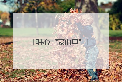 驻心“蒙山里”