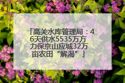 高关水库管理局：46天供水5535万方 力保京山应城32万亩农田“解渴”