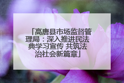 高唐县市场监督管理局：深入推进民法典学习宣传 共筑法治社会新篇章