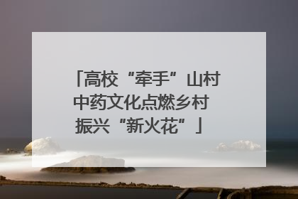 高校“牵手”山村 中药文化点燃乡村振兴“新火花”