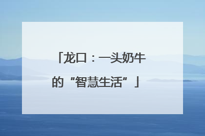 龙口：一头奶牛的“智慧生活”