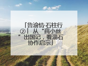 鲁渝情·石柱行② ︳从“莼小丝”出国记，看淄石协作启示