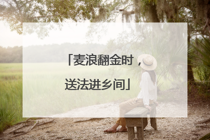 麦浪翻金时，送法进乡间