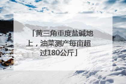 黄三角重度盐碱地上，油菜测产每亩超过180公斤