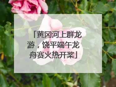 黄冈河上群龙游，饶平端午龙舟赛火热开桨