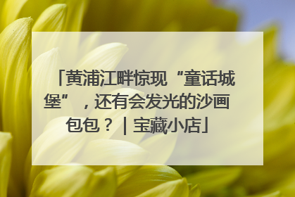 黄浦江畔惊现“童话城堡”，还有会发光的沙画包包？｜宝藏小店