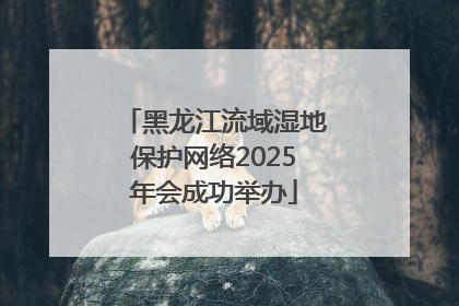 黑龙江流域湿地保护网络2025年会成功举办
