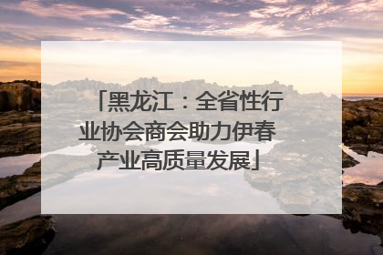 黑龙江：全省性行业协会商会助力伊春产业高质量发展