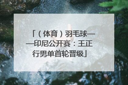 （体育）羽毛球——印尼公开赛：王正行男单首轮晋级