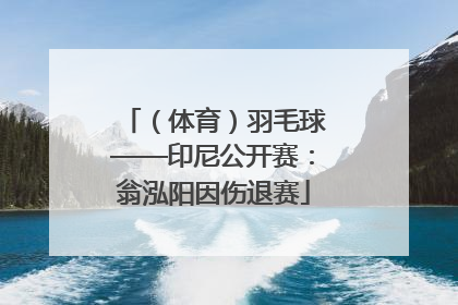 （体育）羽毛球——印尼公开赛：翁泓阳因伤退赛