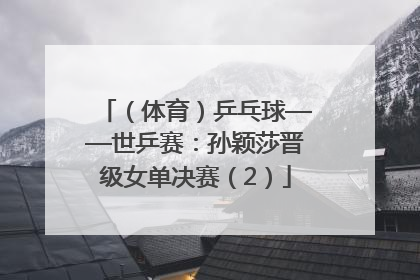 （体育）乒乓球——世乒赛：孙颖莎晋级女单决赛（2）