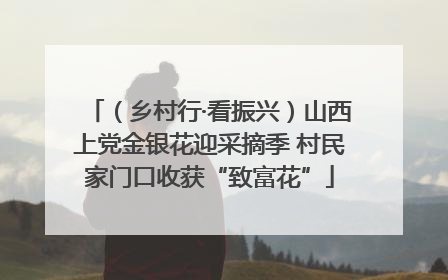 （乡村行·看振兴）山西上党金银花迎采摘季 村民家门口收获“致富花”