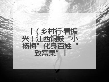 （乡村行·看振兴）江西铜鼓“小杨梅”化身百姓“致富果”