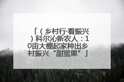 （乡村行·看振兴）科尔沁新农人：10亩大棚起家种出乡村振兴“甜蜜果”