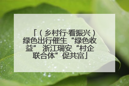 （乡村行·看振兴）绿色出行催生“绿色收益” 浙江瑞安“村企联合体”促共富