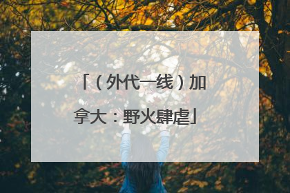 （外代一线）加拿大：野火肆虐