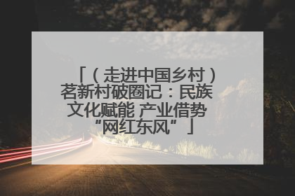 （走进中国乡村）茗新村破圈记：民族文化赋能 产业借势 “网红东风”