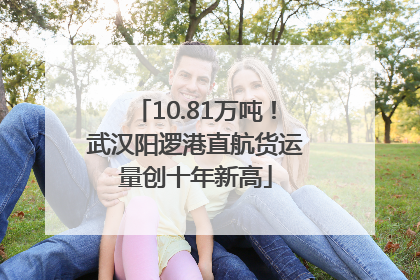 10.81万吨！武汉阳逻港直航货运量创十年新高