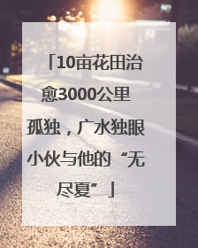 10亩花田治愈3000公里孤独，广水独眼小伙与他的“无尽夏”