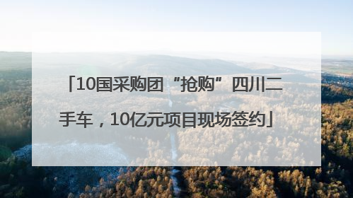 10国采购团“抢购”四川二手车，10亿元项目现场签约