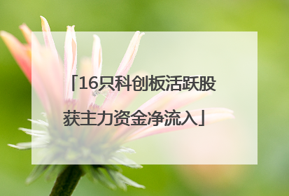 16只科创板活跃股获主力资金净流入