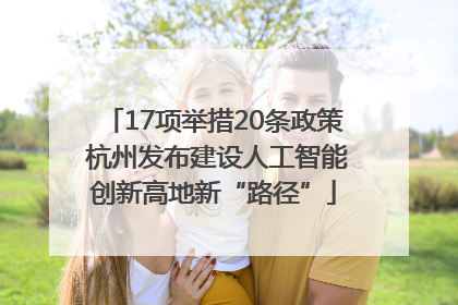 17项举措20条政策 杭州发布建设人工智能创新高地新“路径”