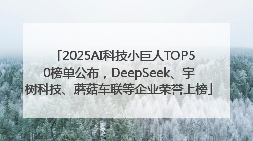 2025AI科技小巨人TOP50榜单公布，DeepSeek、宇树科技、蘑菇车联等企业荣誉上榜