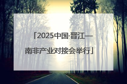 2025中国·晋江—南非产业对接会举行