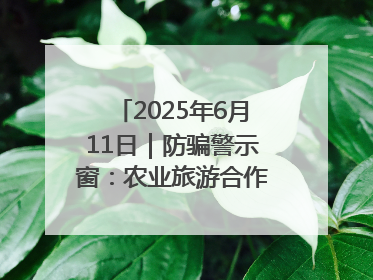 2025年6月11日｜防骗警示窗：农业旅游合作社以高息设局，集资380万
