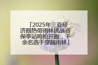 2025年三亚经济圈热带雨林挑战赛保亭站鸣枪开跑，千余名选手穿越雨林