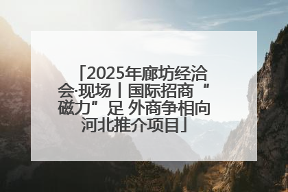 2025年廊坊经洽会·现场丨国际招商“磁力”足 外商争相向河北推介项目