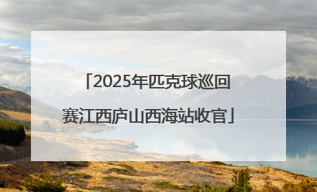 2025年匹克球巡回赛江西庐山西海站收官