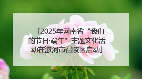 2025年河南省“我们的节日·端午”主题文化活动在漯河市召陵区启动