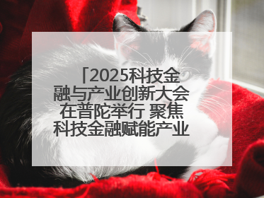 2025科技金融与产业创新大会在普陀举行 聚焦科技金融赋能产业升级之策