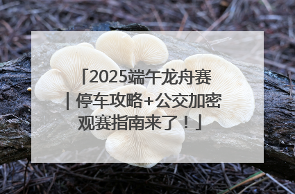 2025端午龙舟赛｜停车攻略+公交加密 观赛指南来了！