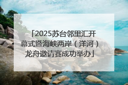 2025苏台邻里汇开幕式暨海峡两岸（洋河）龙舟邀请赛成功举办